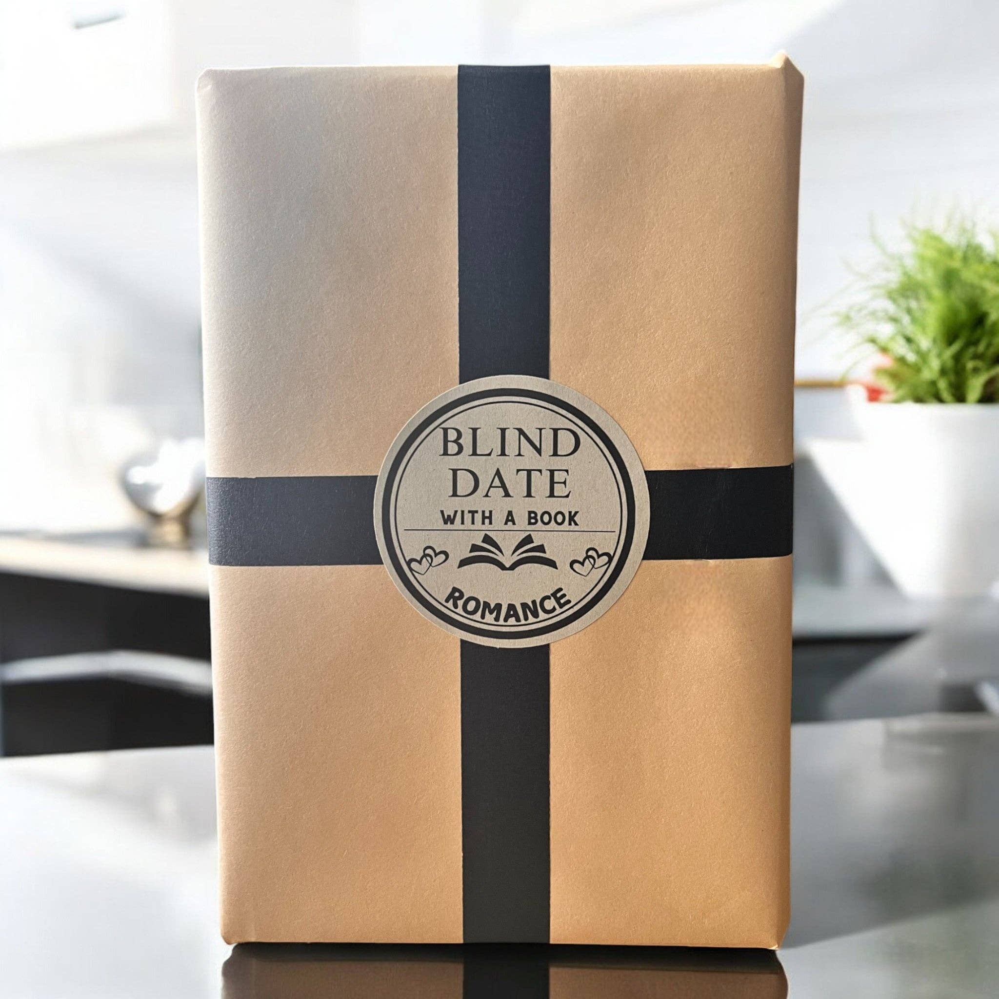 Blind Date with a Book | A Bookish Gift Adventure - Image 4