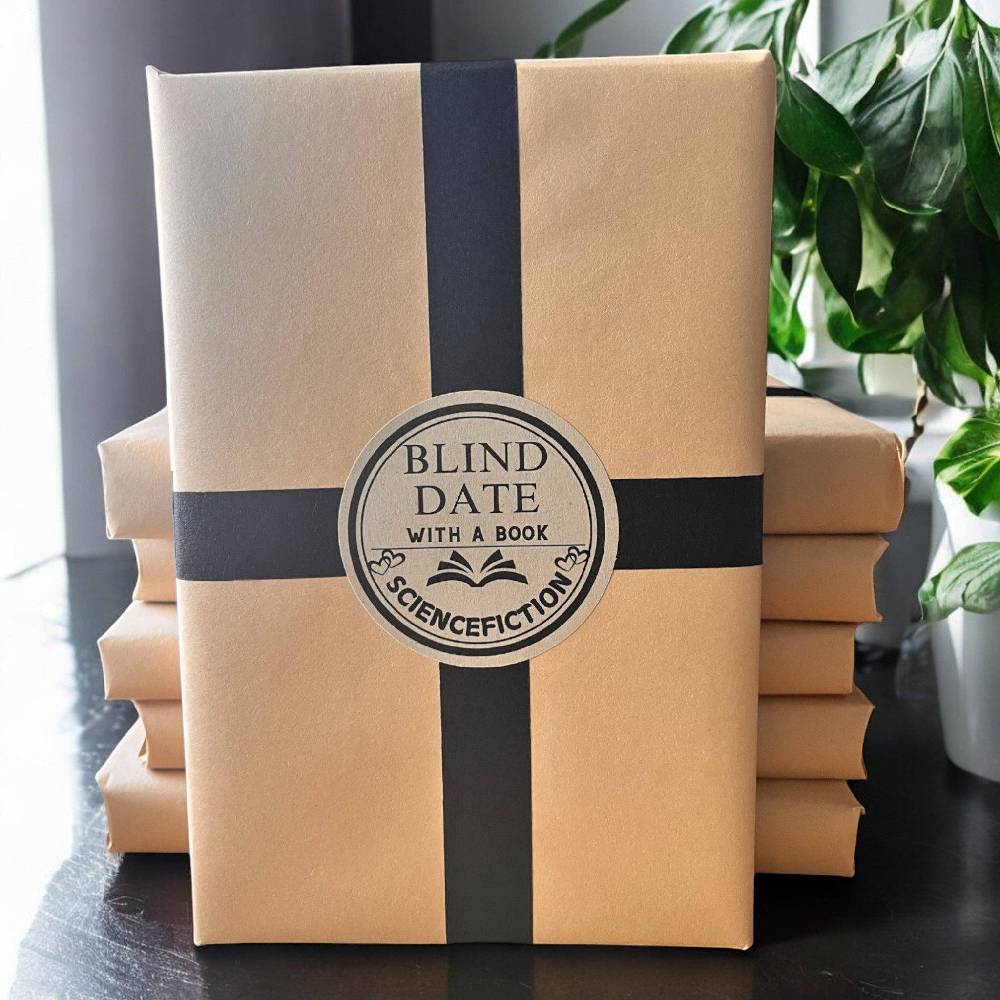 Blind Date with a Book | A Bookish Gift Adventure - Image 5