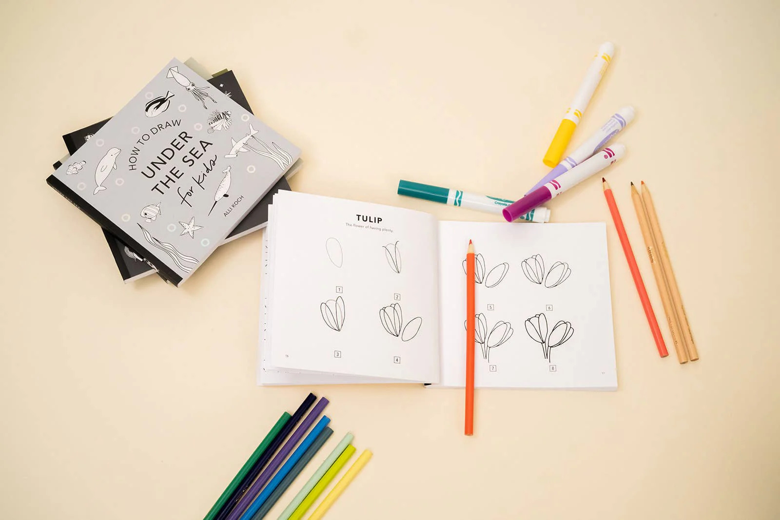 How to Draw So Many Things: A Mini Box Set of 5 - Image 4