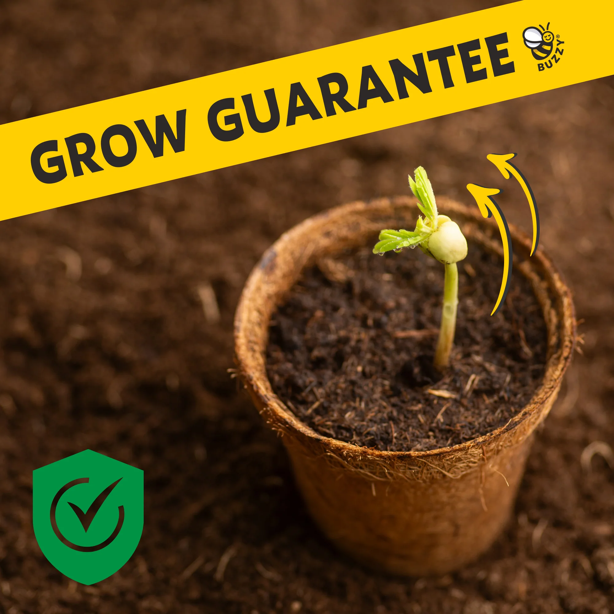 Grow Pail - Lavender Grow Kit - Image 7
