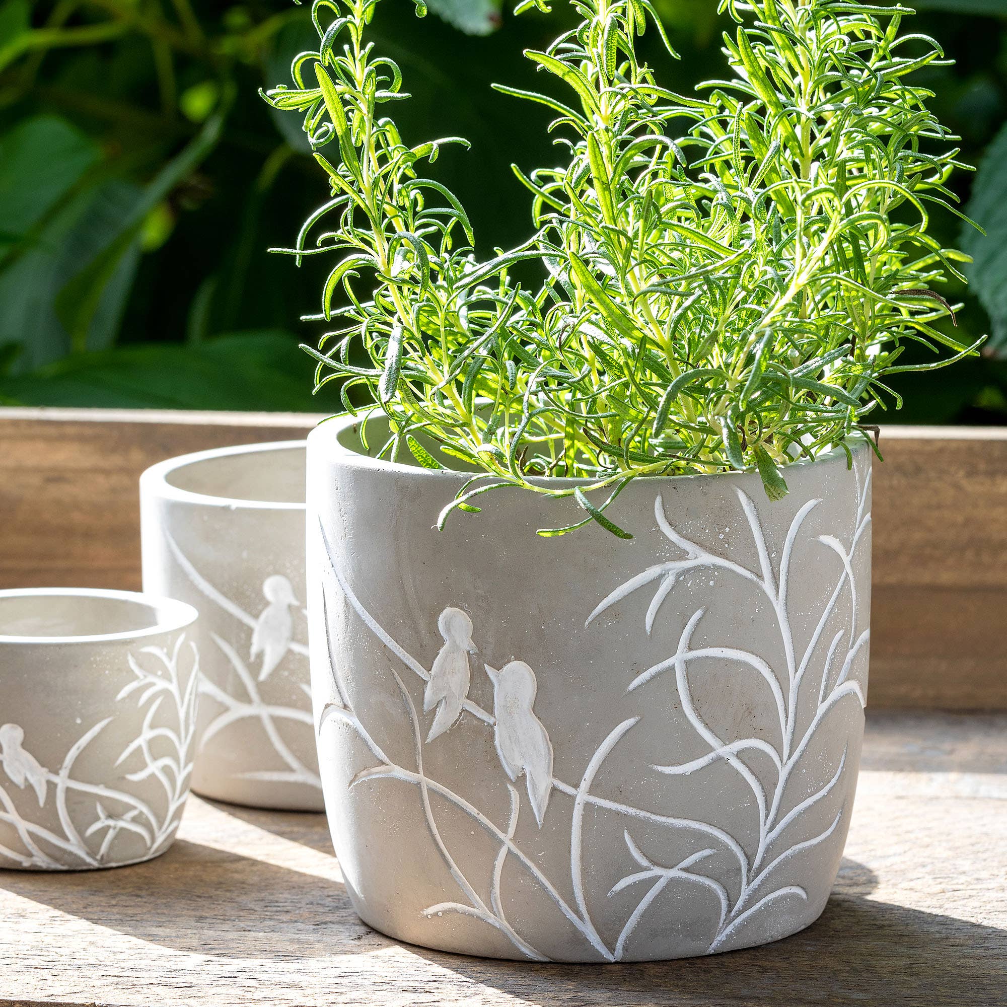 Lovebirds Silouette Cement Pot, Large - Image 2