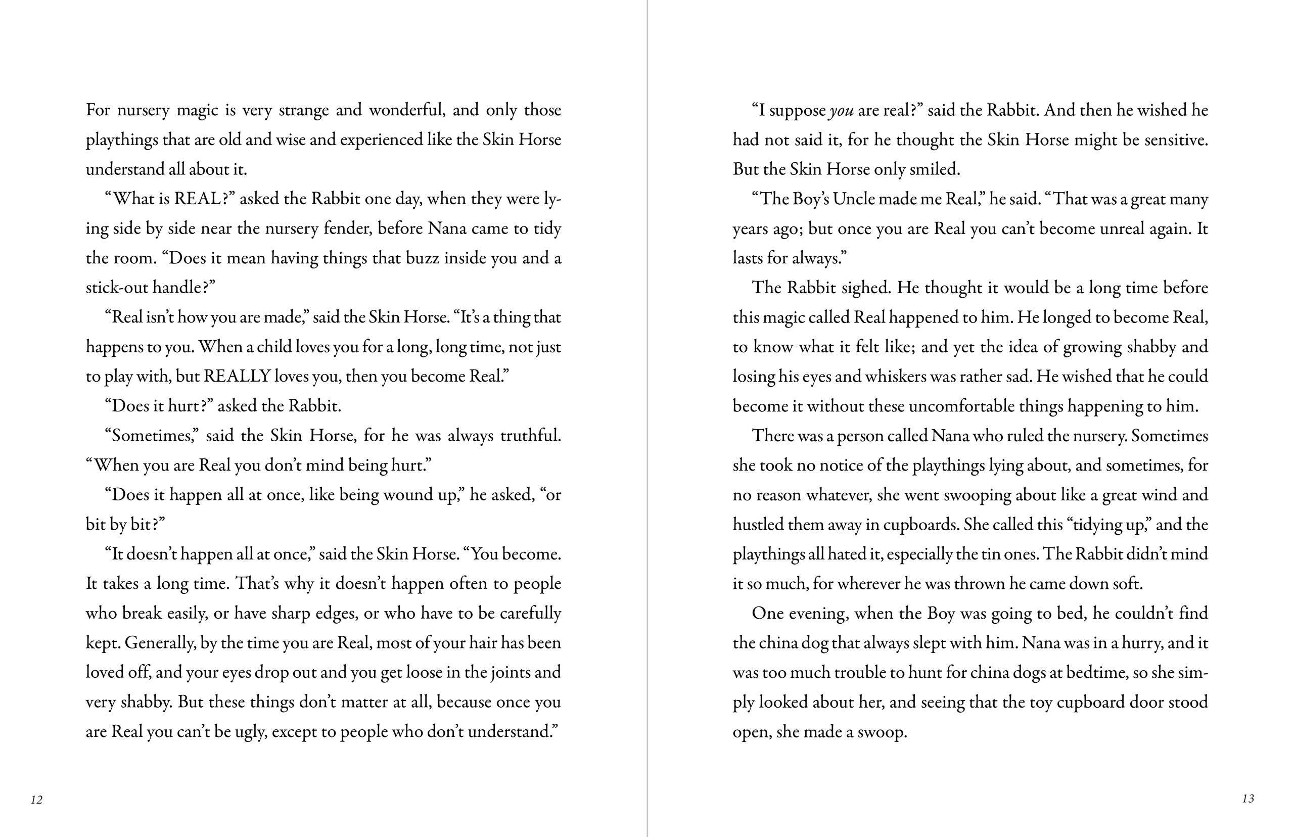The Velveteen Rabbit - Image 4