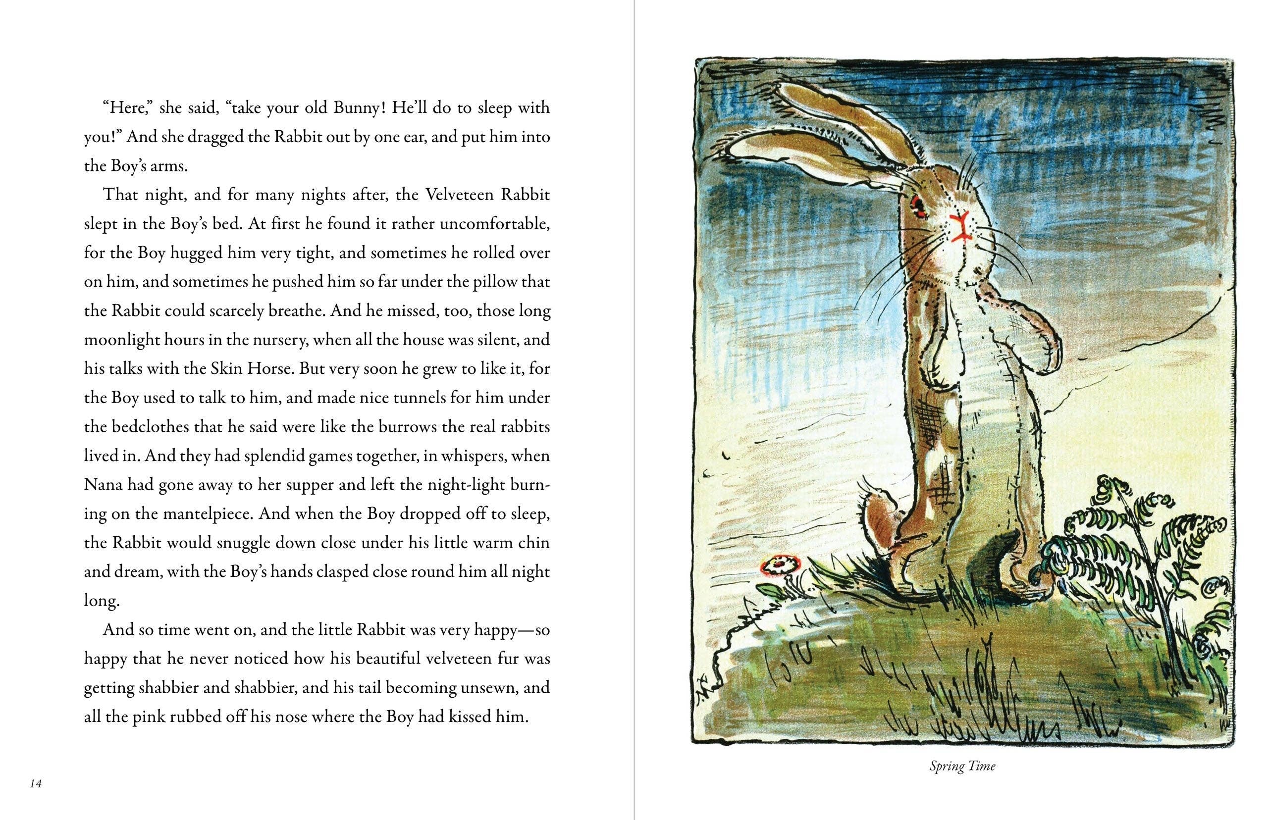 The Velveteen Rabbit - Image 5
