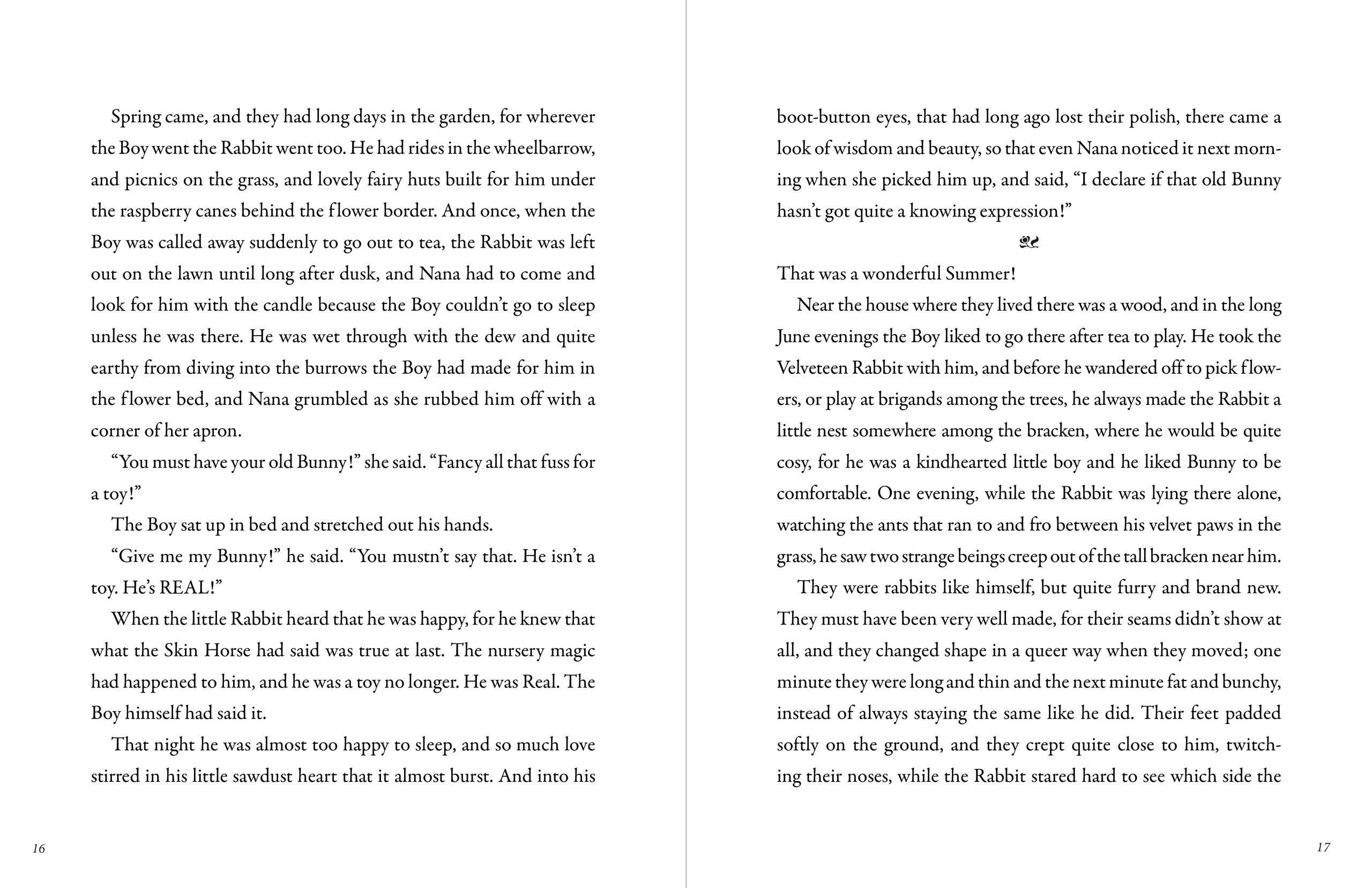 The Velveteen Rabbit - Image 6