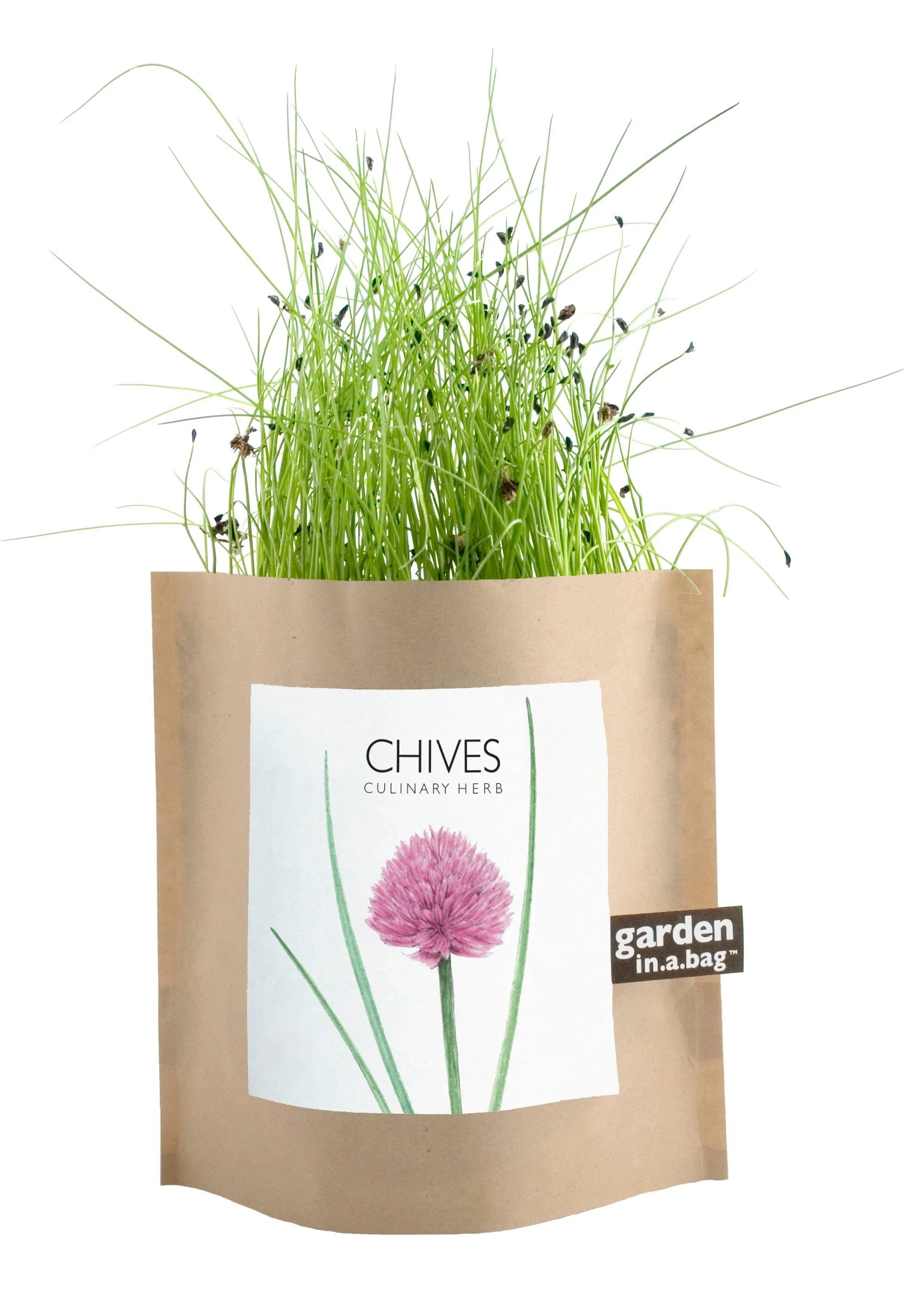 Garden in a Bag | Chives - Image 2