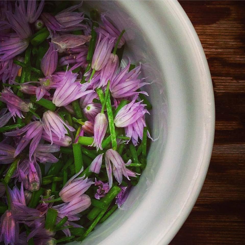 Garden in a Bag | Chives - Image 5