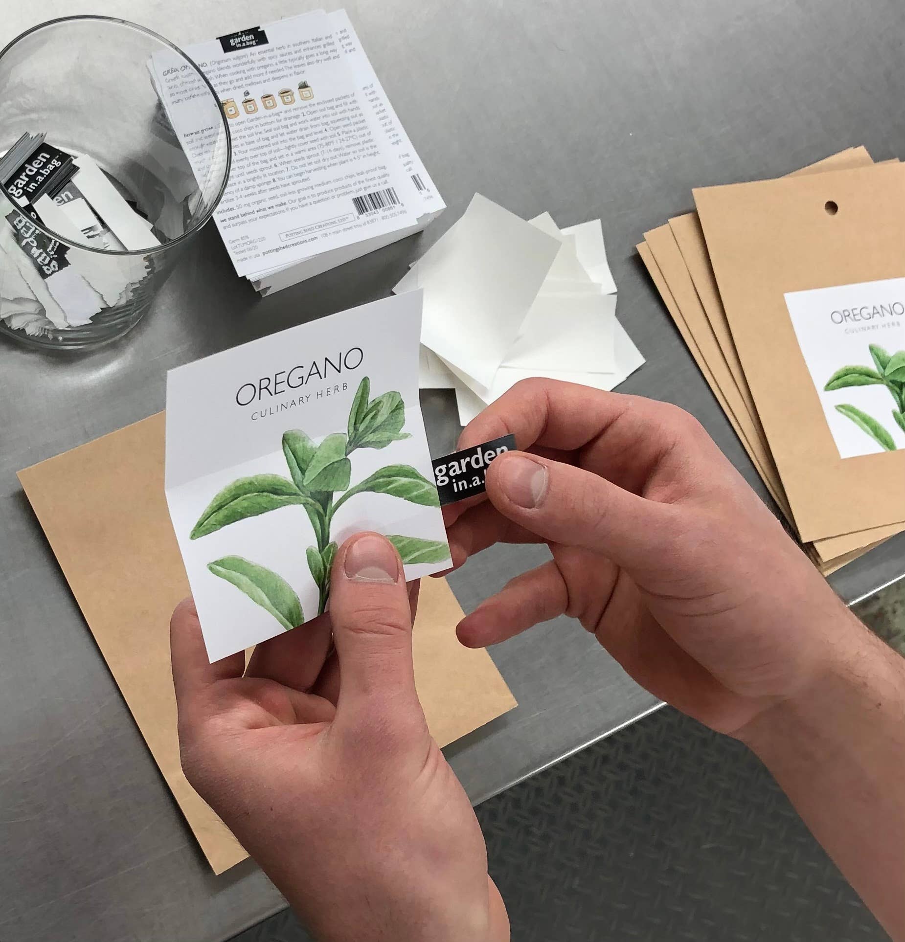 Garden in a Bag | Italian Parsley - Image 6