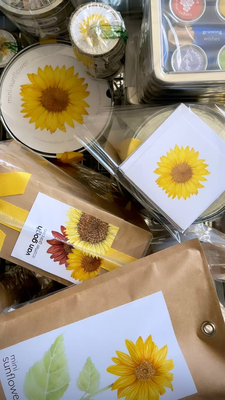 Garden in a Bag | Sunflower - Image 4