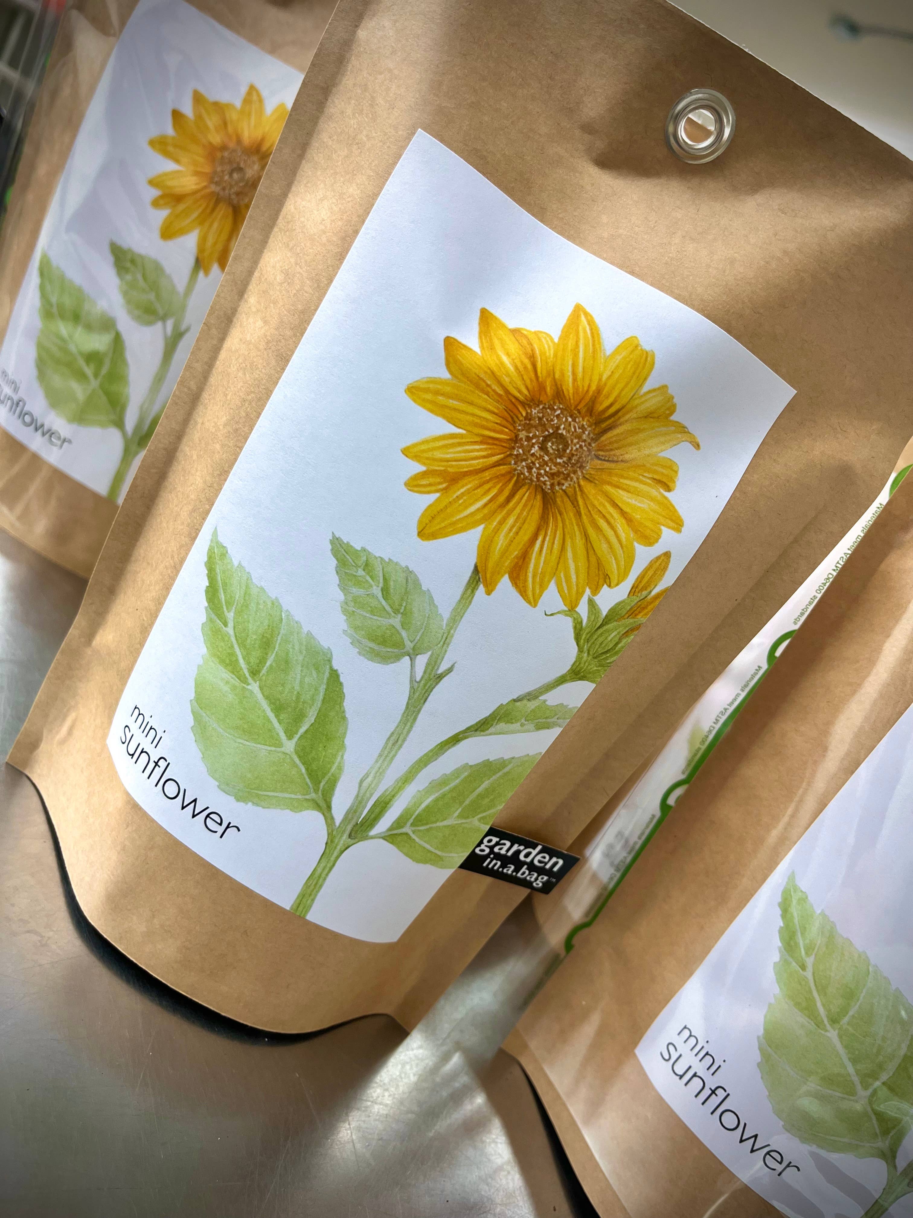 Garden in a Bag | Sunflower - Image 5