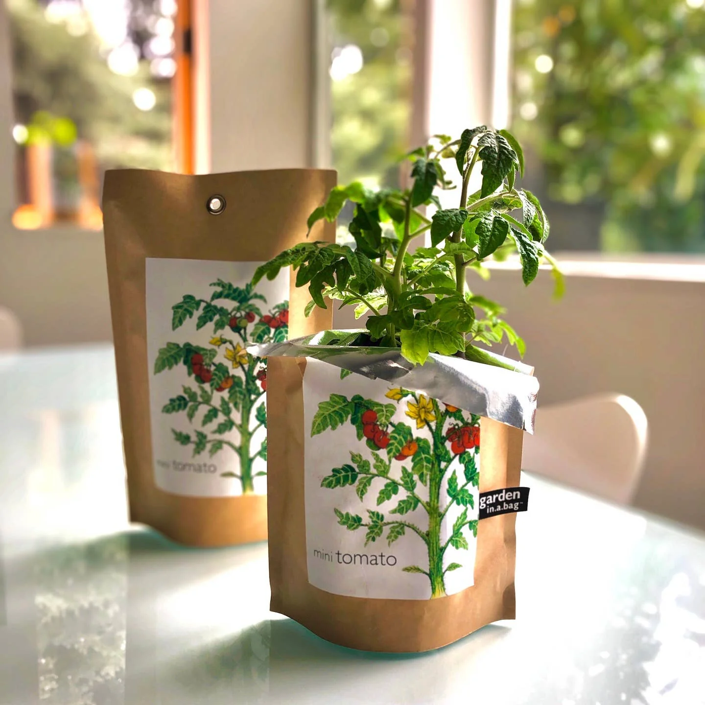 Garden in a Bag Tomato