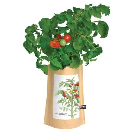 Garden in a Bag Tomato - Image 3