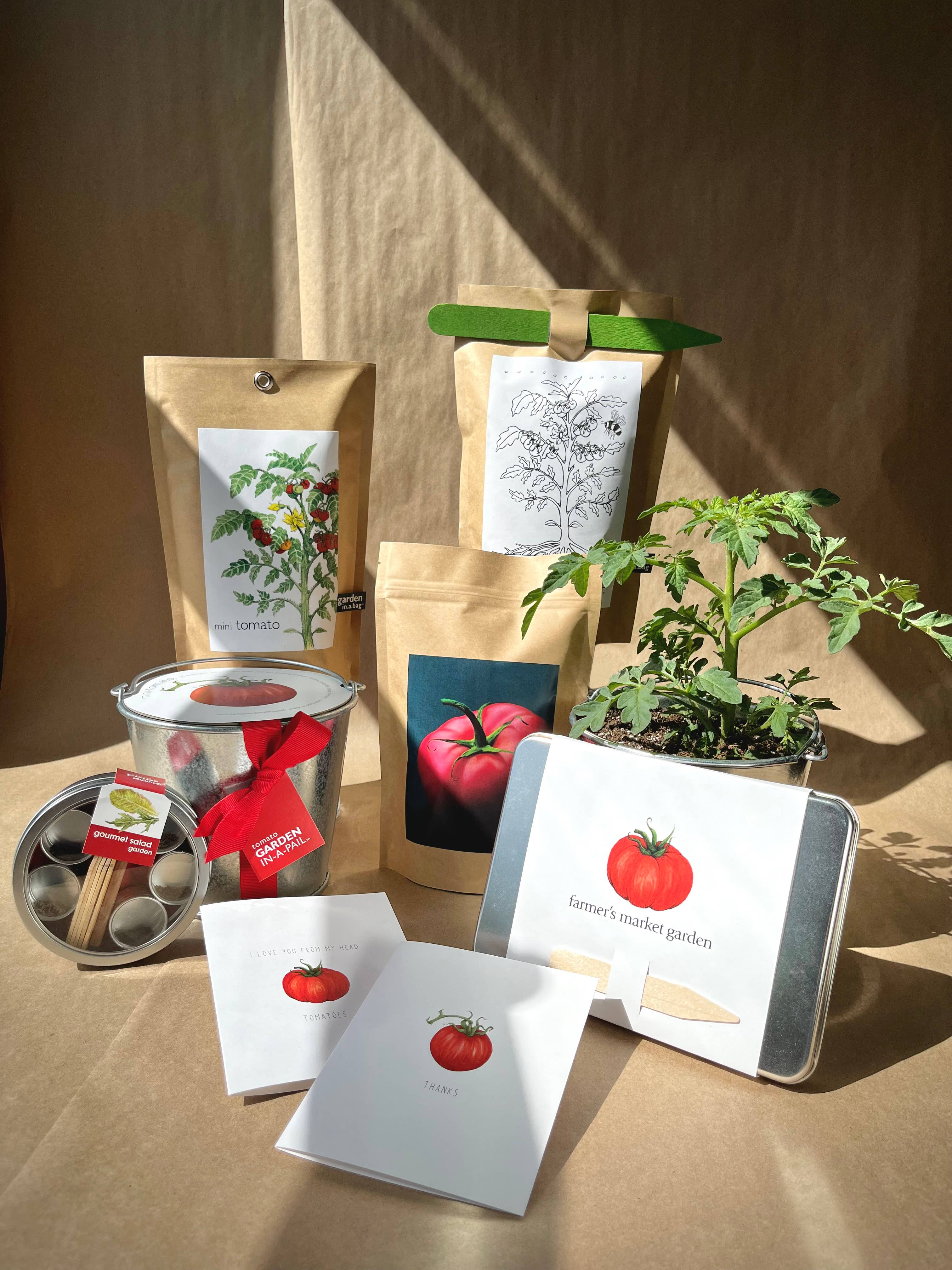 Garden in a Bag Tomato - Image 5