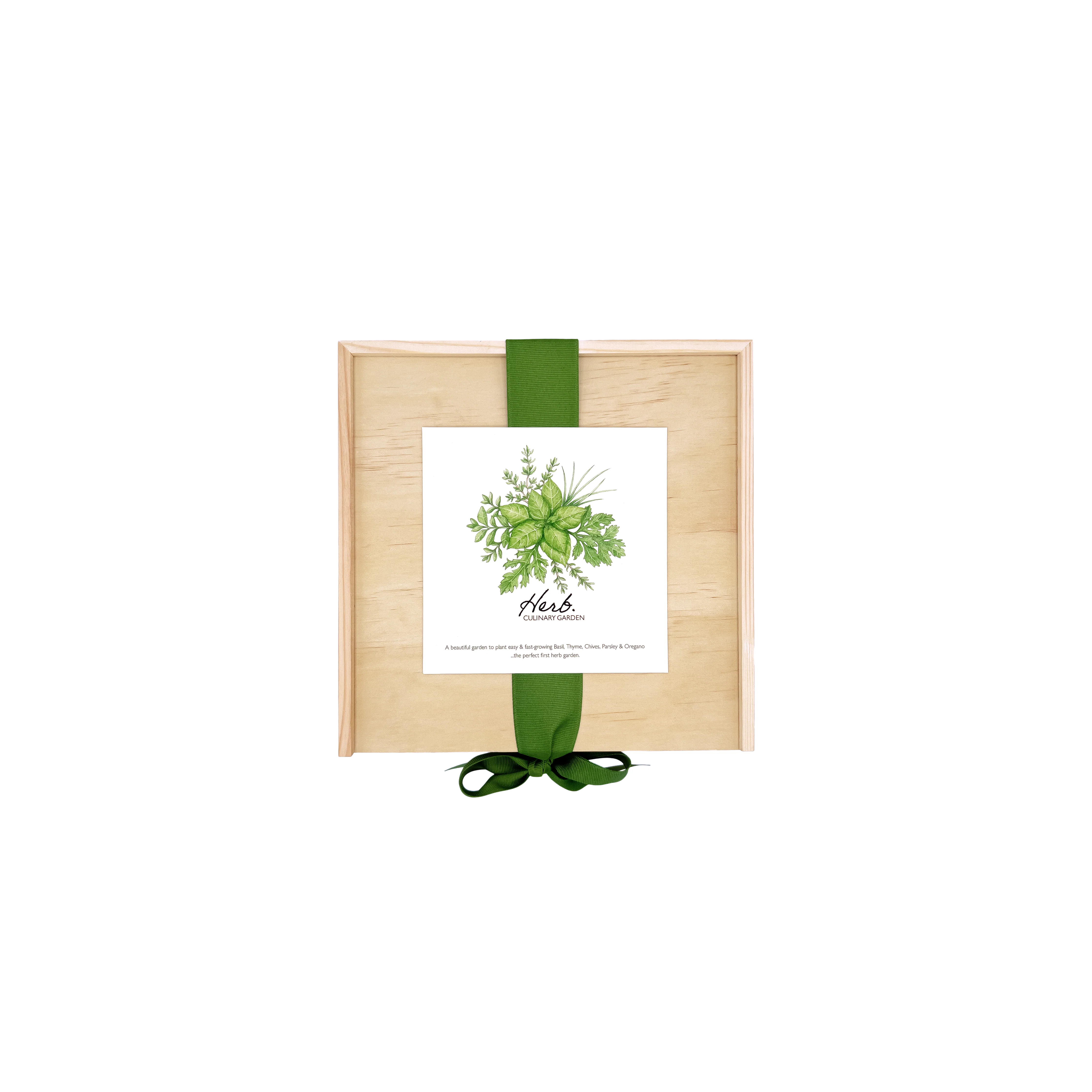 Culinary Herb Garden Box - Image 2