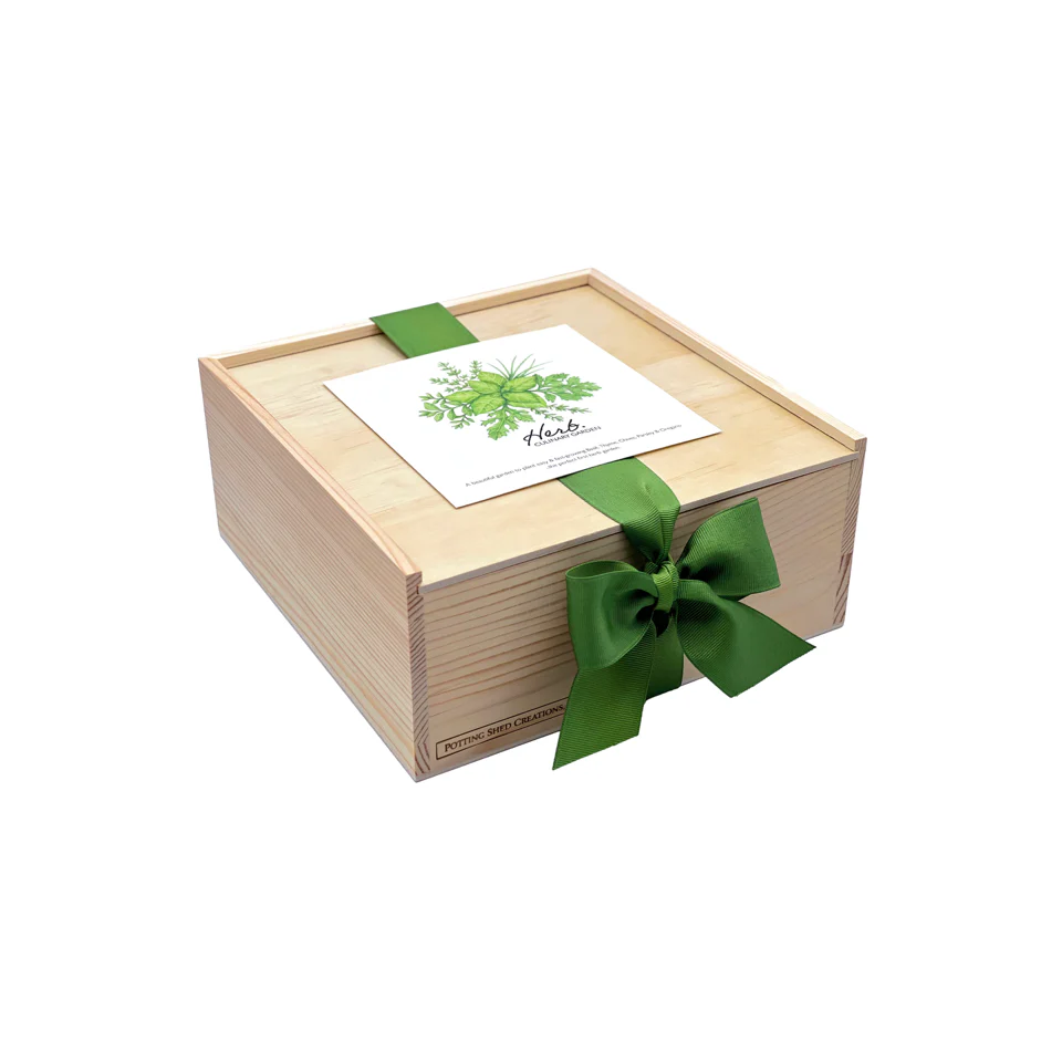 Culinary Herb Garden Box - Image 4