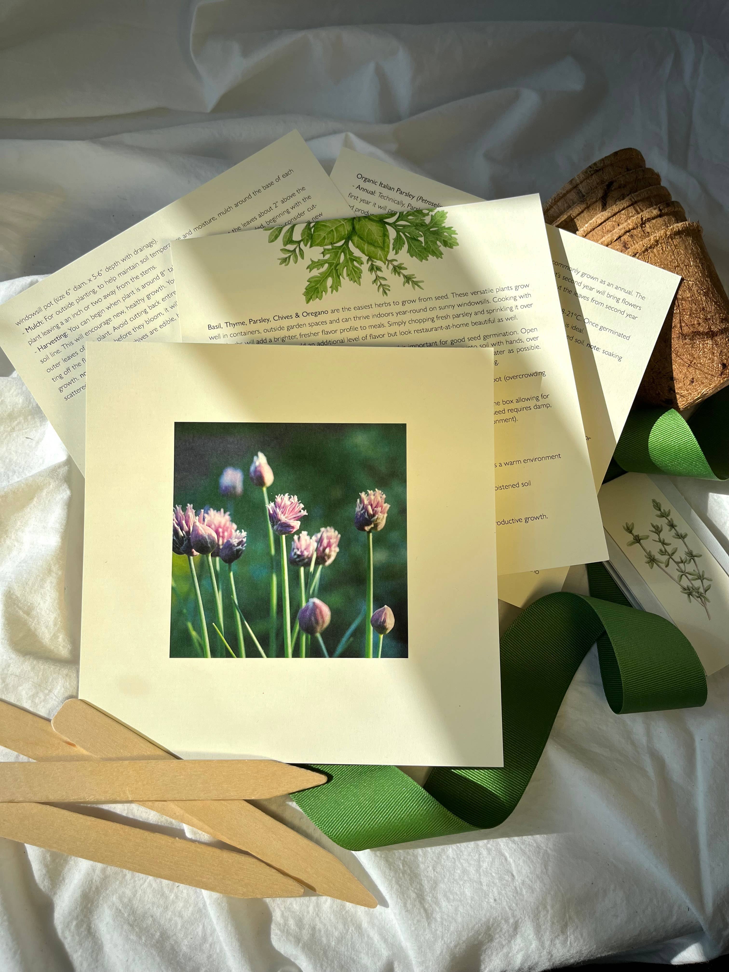 Culinary Herb Garden Box - Image 5
