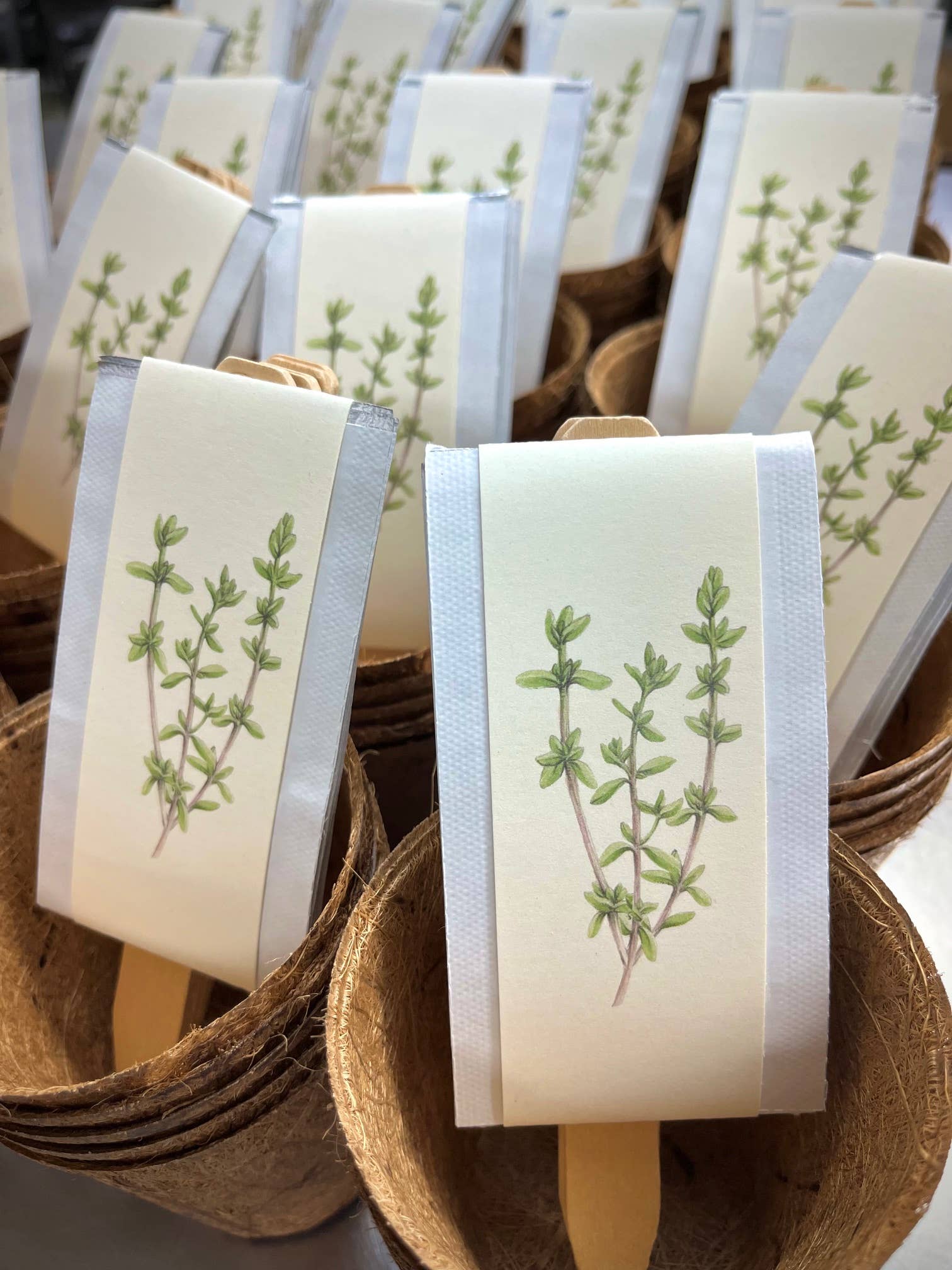 Culinary Herb Garden Box - Image 6