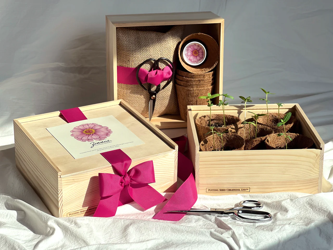Culinary Herb Garden Box - Image 9