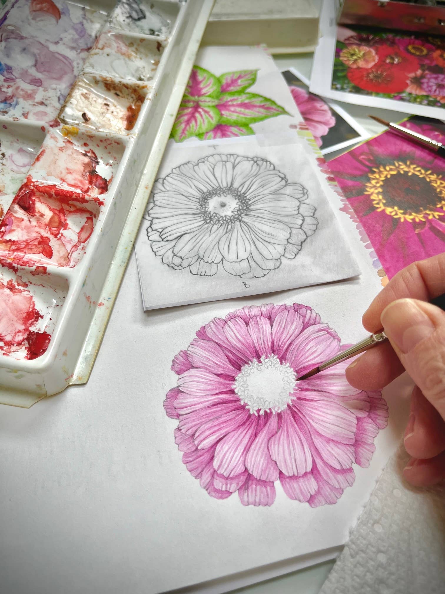 Flower Cutting Garden Box | Mixed Zinnia - Image 10