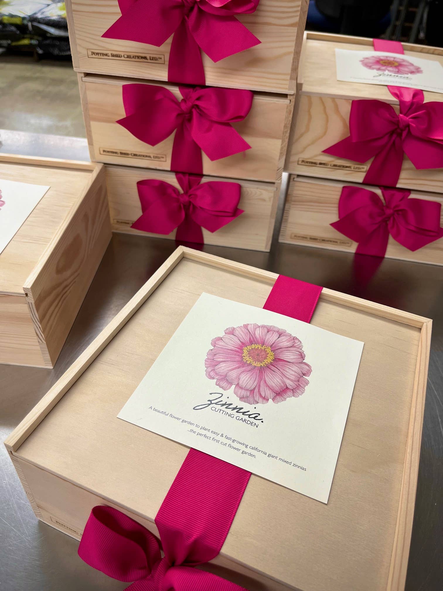 Flower Cutting Garden Box | Mixed Zinnia - Image 11