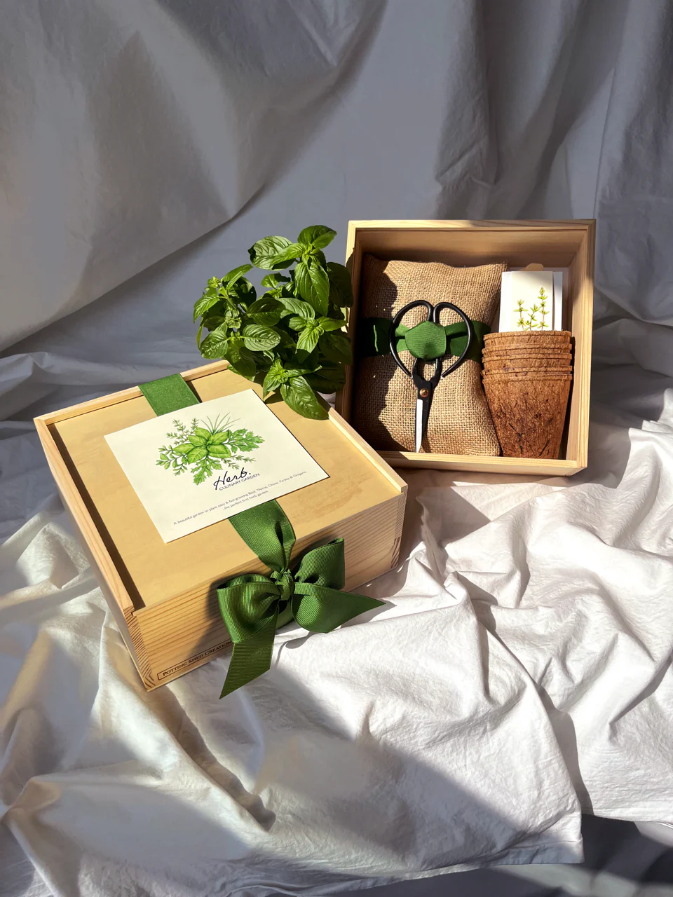 Flower Cutting Garden Box | Mixed Zinnia - Image 12