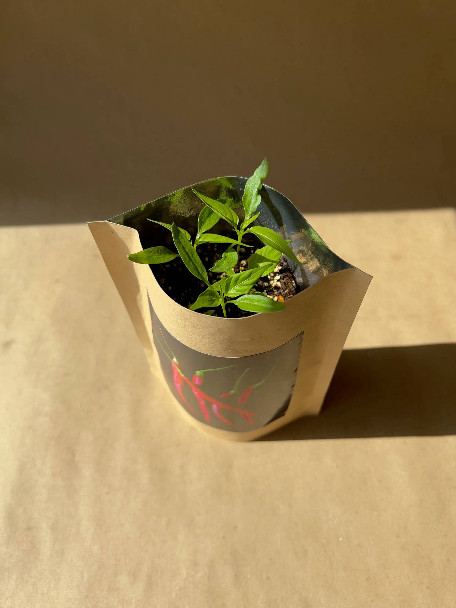 Seed Start | Hot Peppers - Image 3
