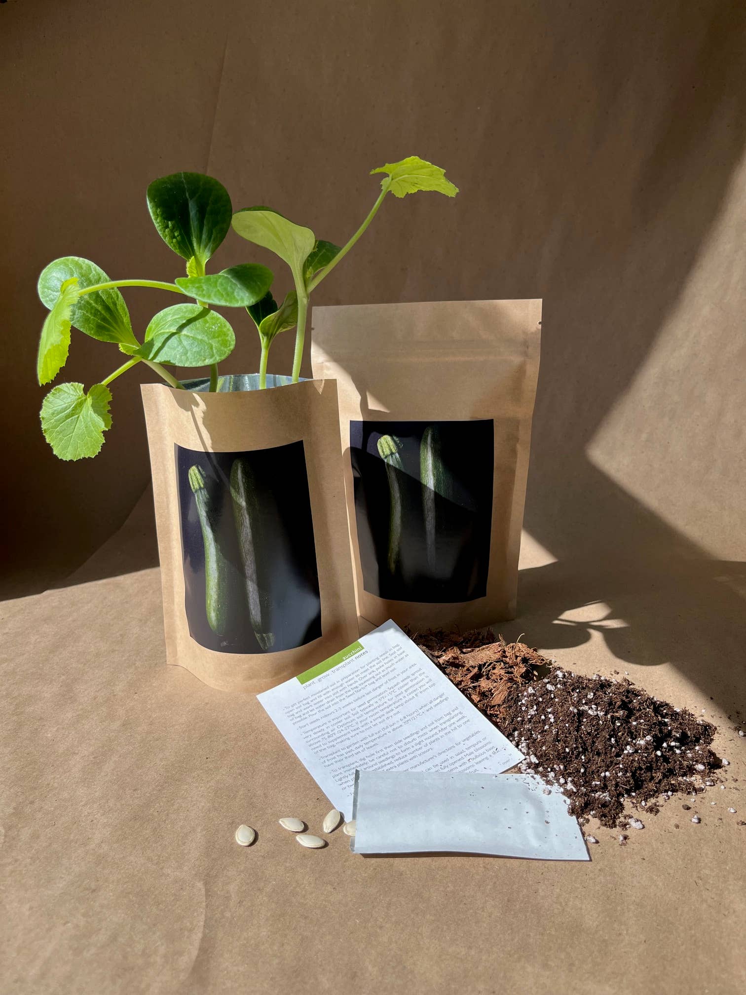 Seed Start | Zucchini