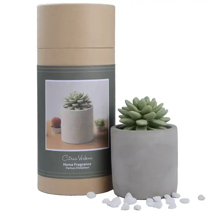Succulent in Planter Diffuser Gift Set for Home Decor - Image 2