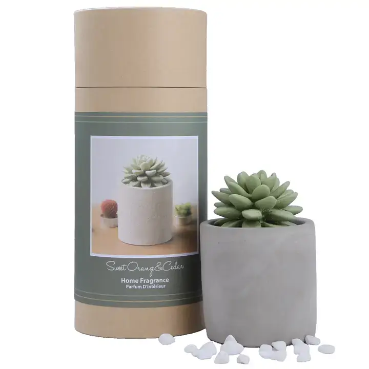 Succulent in Planter Diffuser Gift Set for Home Decor - Image 3