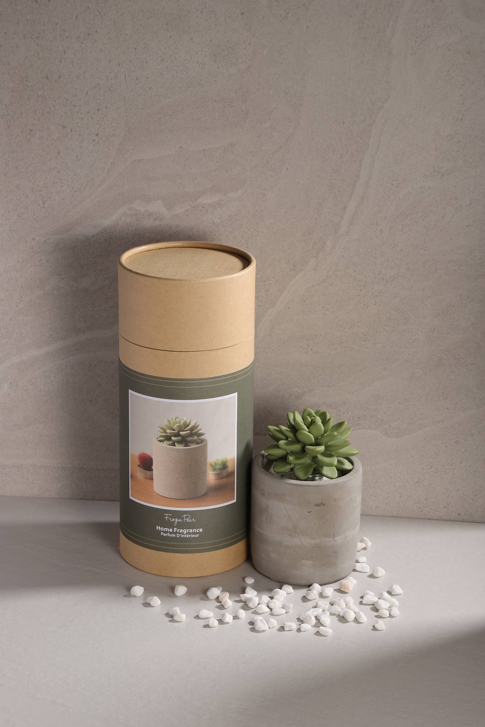 Succulent in Planter Diffuser Gift Set for Home Decor - Image 4