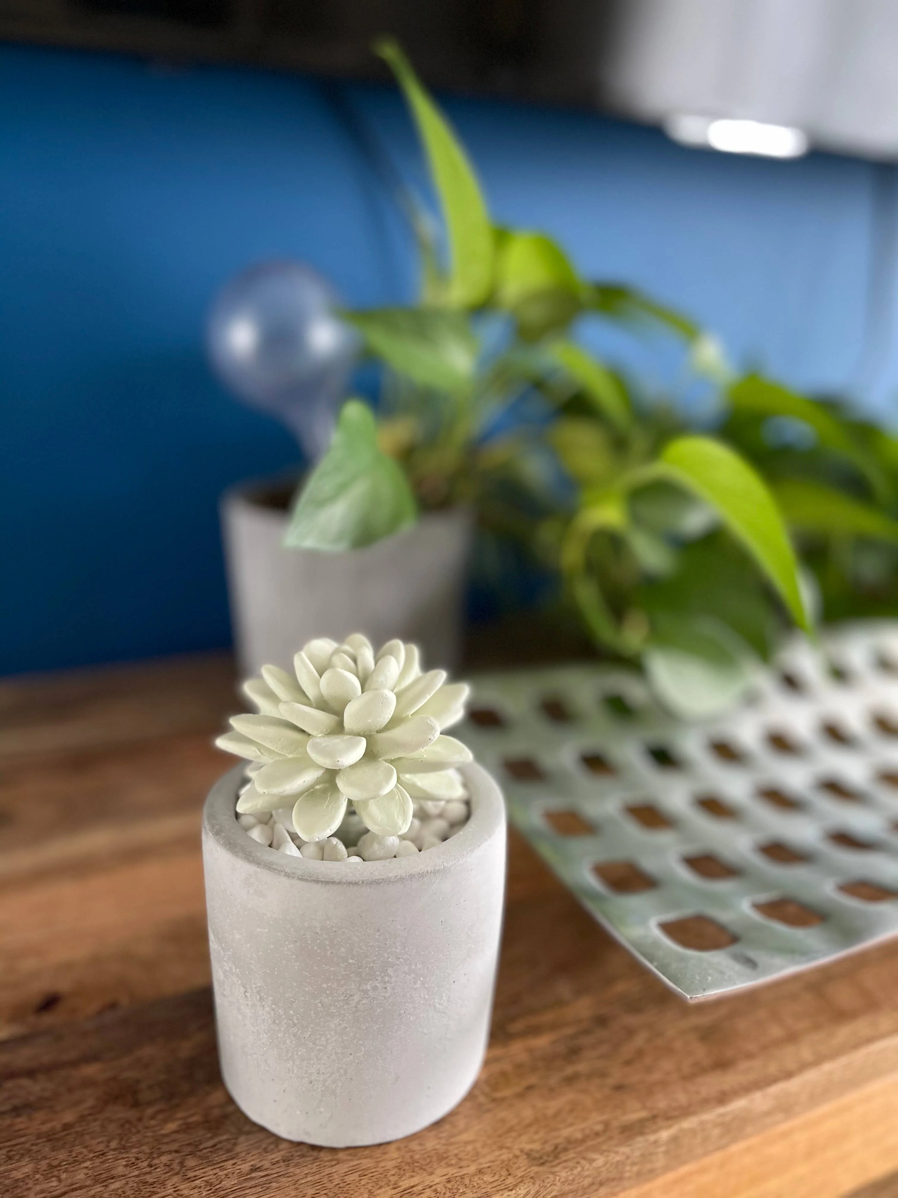 Succulent in Planter Diffuser Gift Set for Home Decor - Image 7