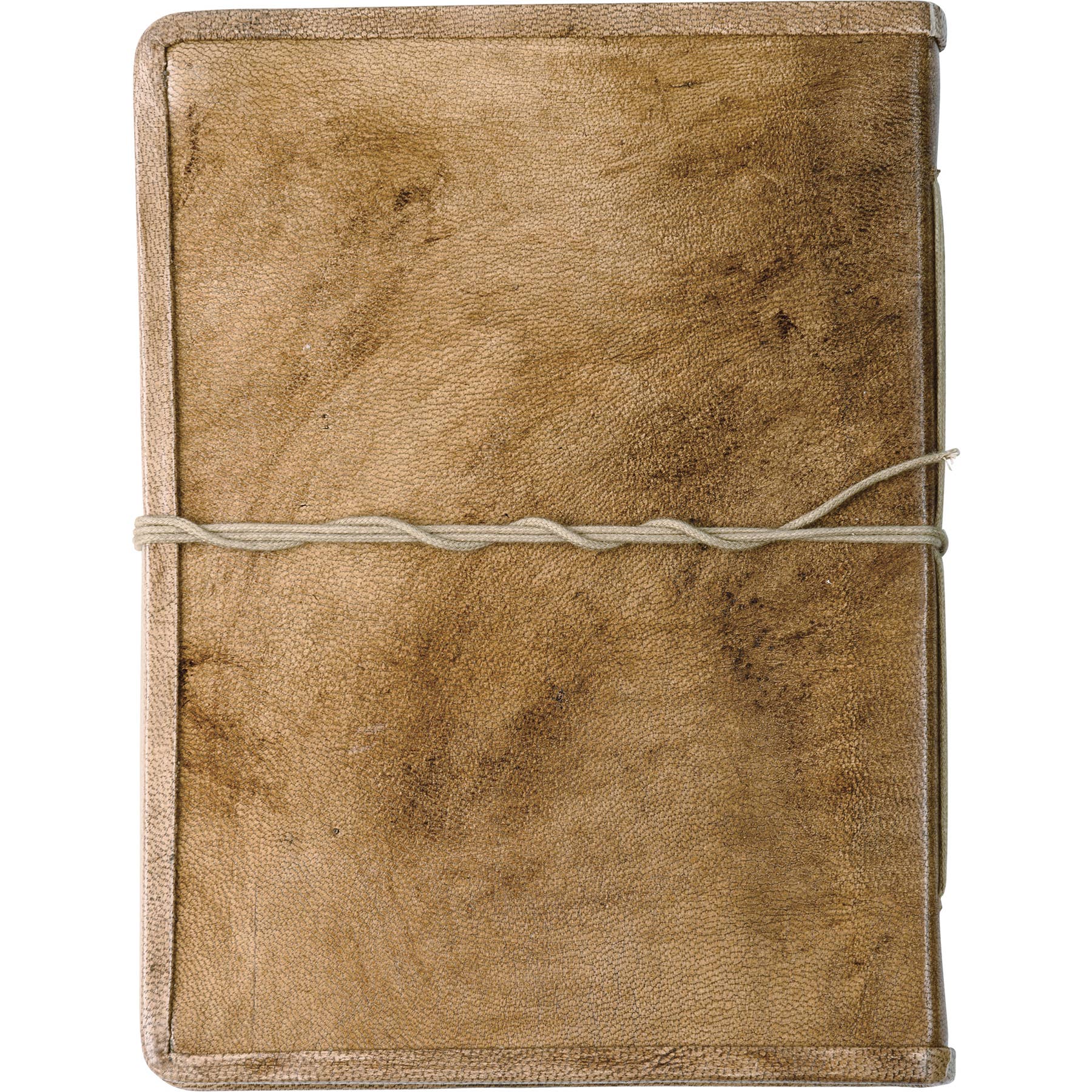 Bee Journal - Image 2