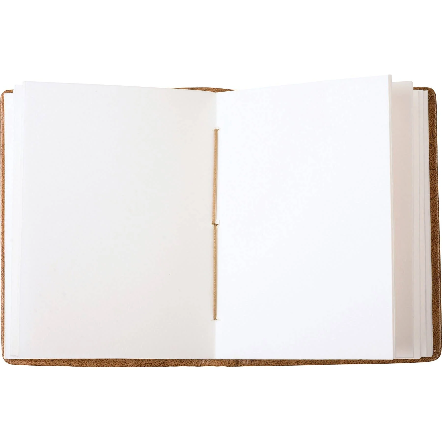 Bee Journal - Image 3