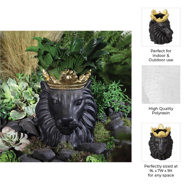 Resin Regal Lion Head Planter with Crown - Black, 9 in. - Image 5