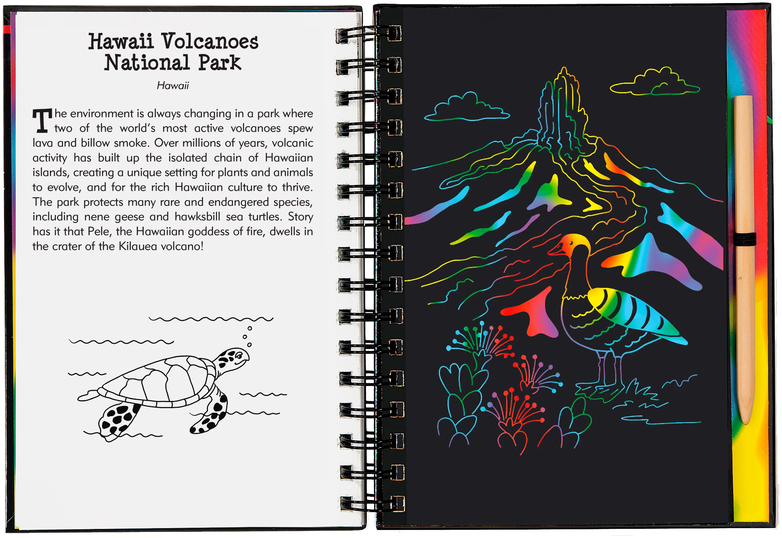 Scratch & Sketch™ National Parks - Image 5
