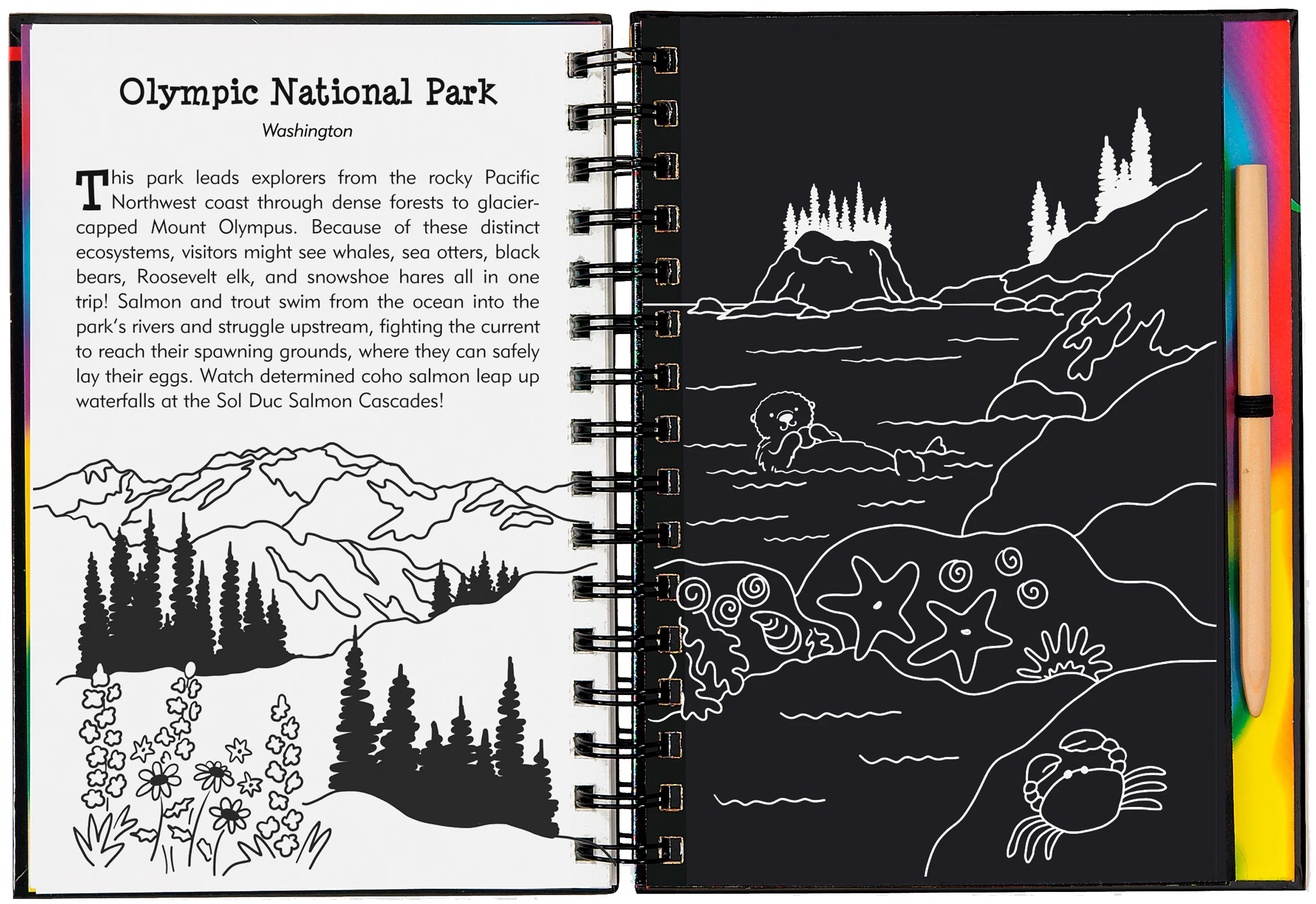 Scratch & Sketch™ National Parks - Image 6
