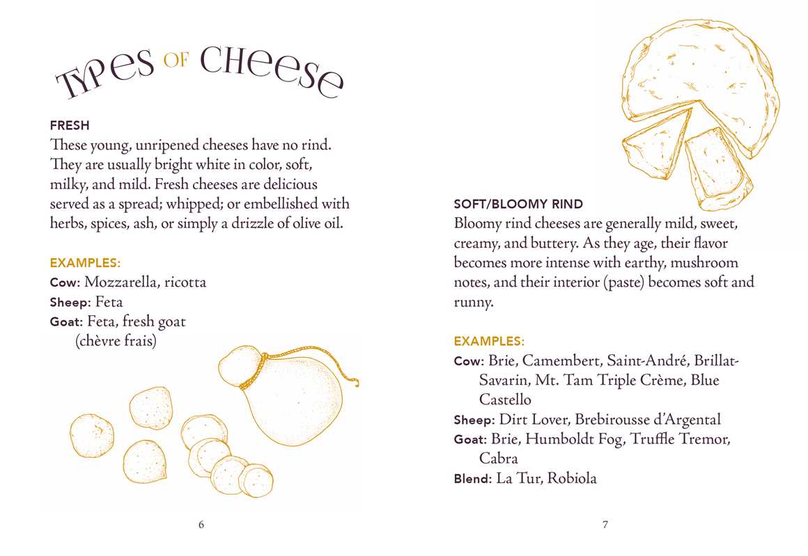 Little Book of Charcuterie and Cheese by Lynda Balslev - Image 2
