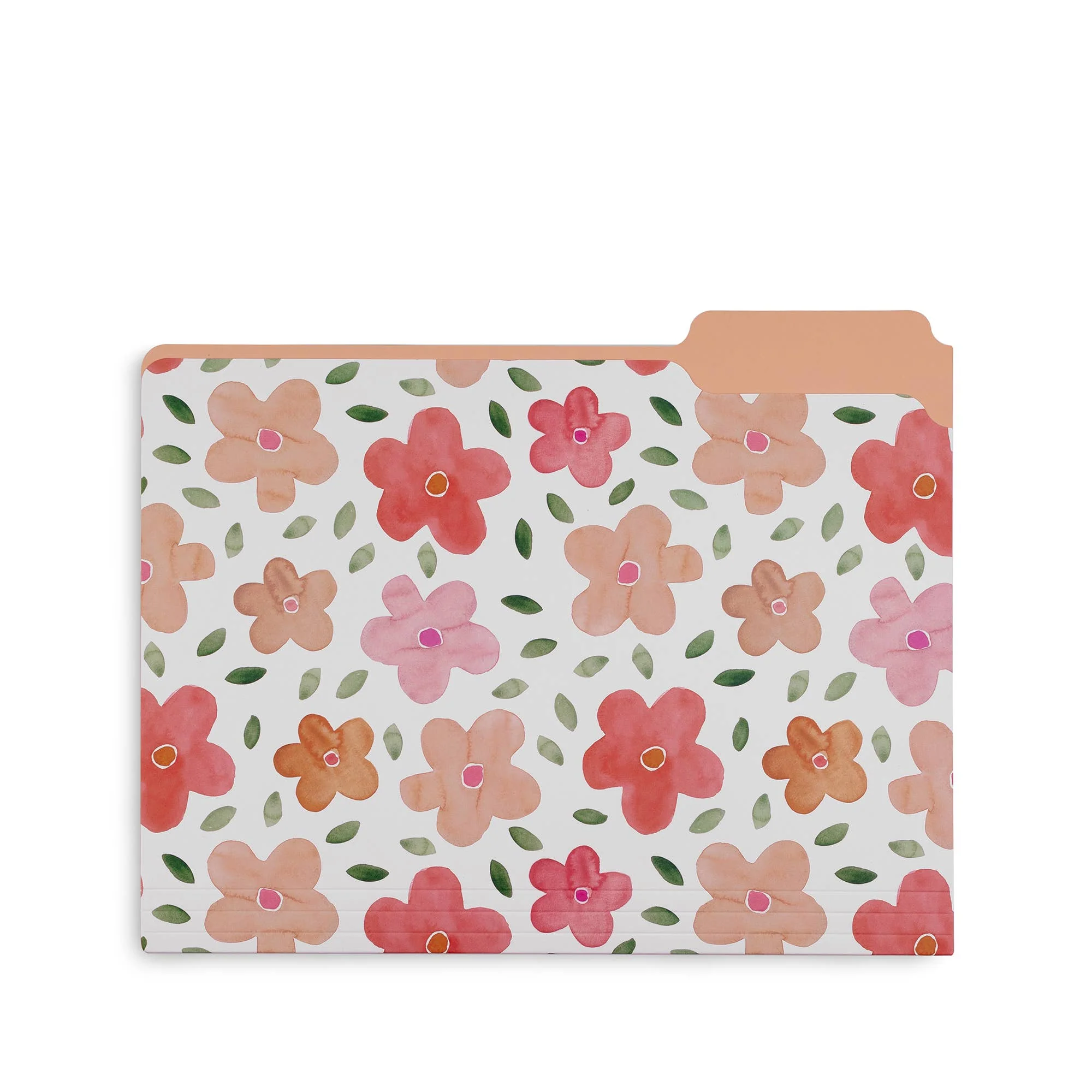 File Folders, Full Posey/Scattered Posey/Bold Floral-Set of 9 - Image 3
