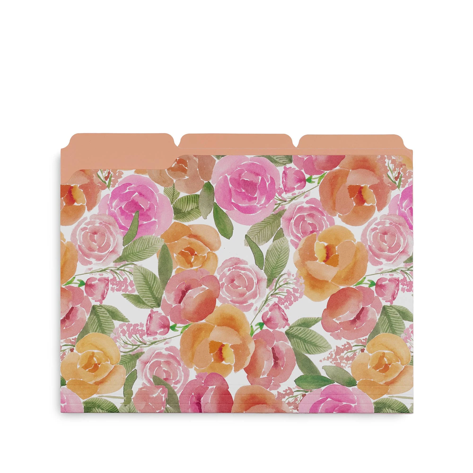 File Folders, Full Posey/Scattered Posey/Bold Floral-Set of 9 - Image 4