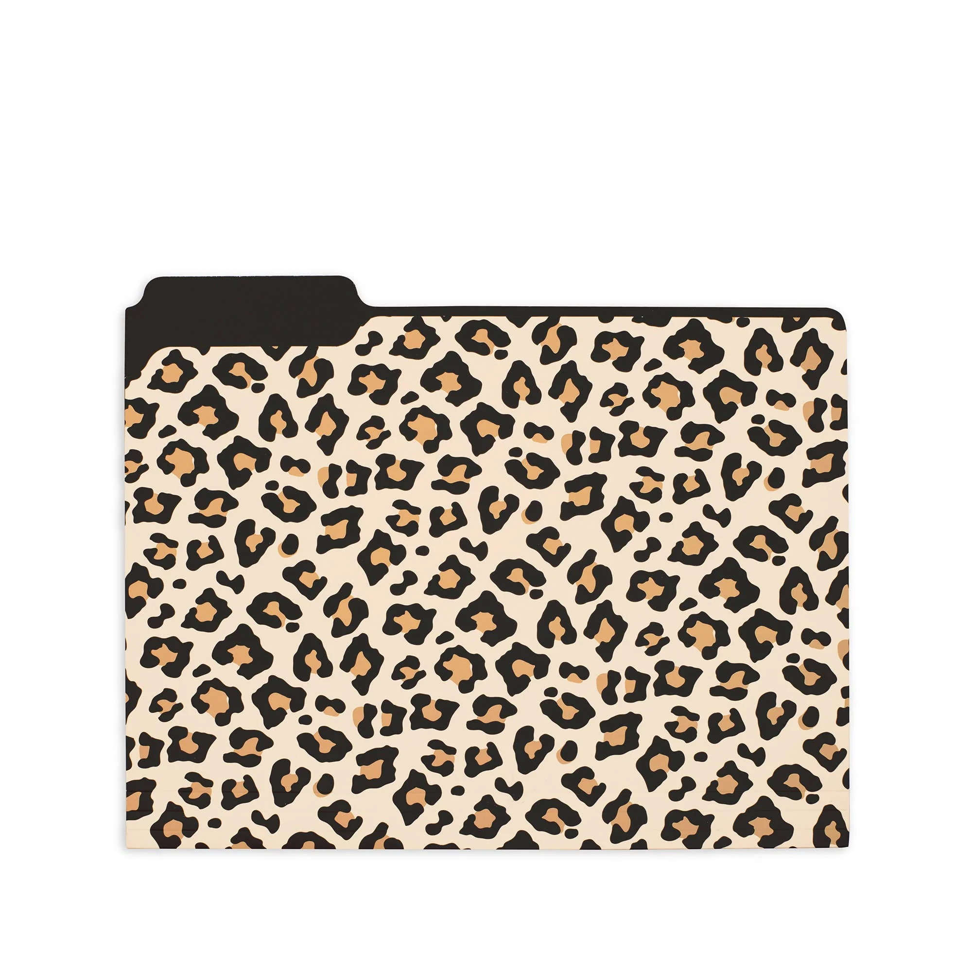 File Folders, Leopard - Image 3