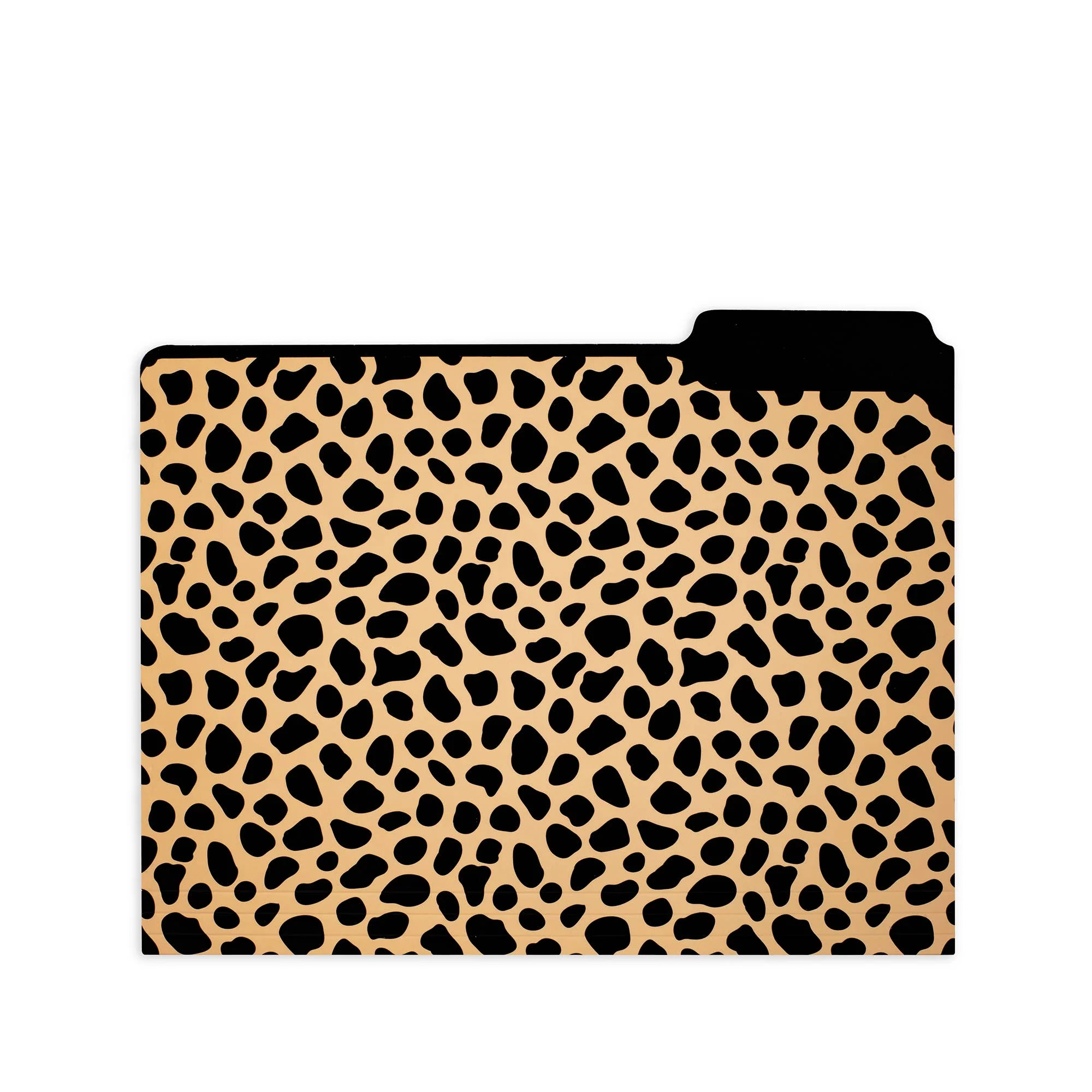 File Folders, Leopard - Image 4