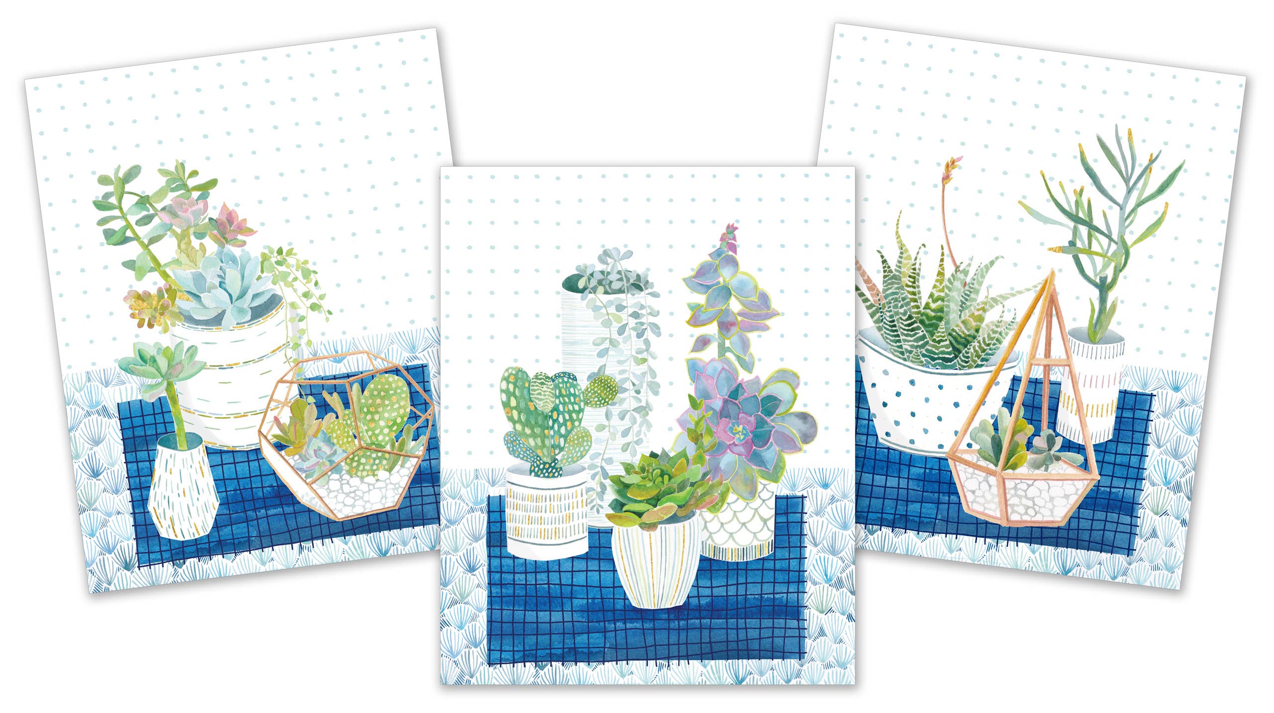 Succulents Art Prints - Image 6