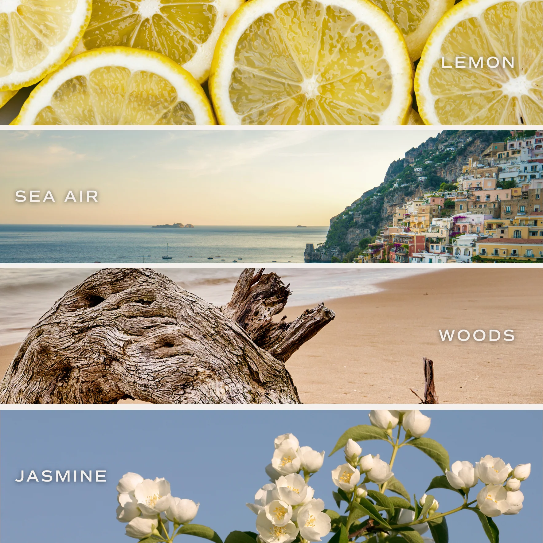 Coastal Lemon 11 oz Soy Candle - Image 3