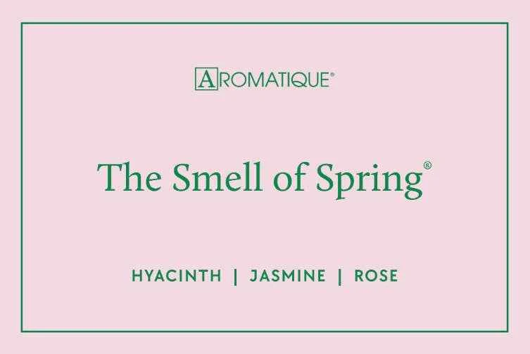 The Smell of Spring® - Aerosol Room Spray - Image 3