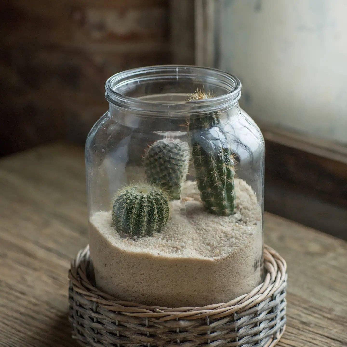Glass and Wicker Terrarium - Cylinder - Image 2