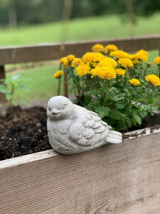 Sitting Cement Bird Statue 1 - Image 3
