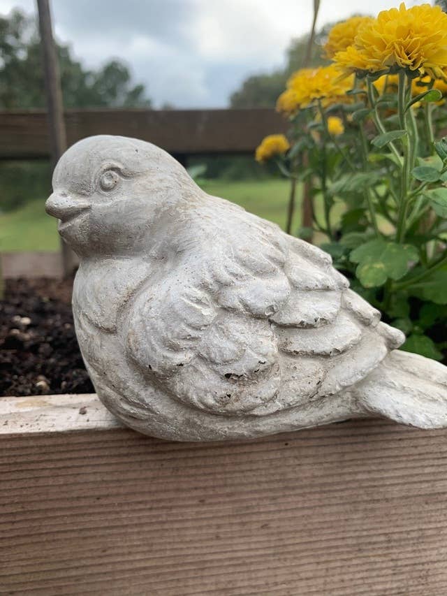 Sitting Cement Bird Statue 1 - Image 4