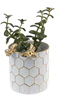 White & Gold Honeycomb Planter with Bee - Small
