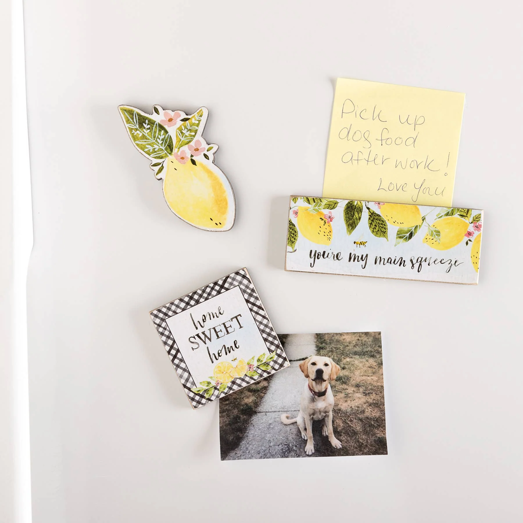 Main Squeeze Magnet Set - Image 2