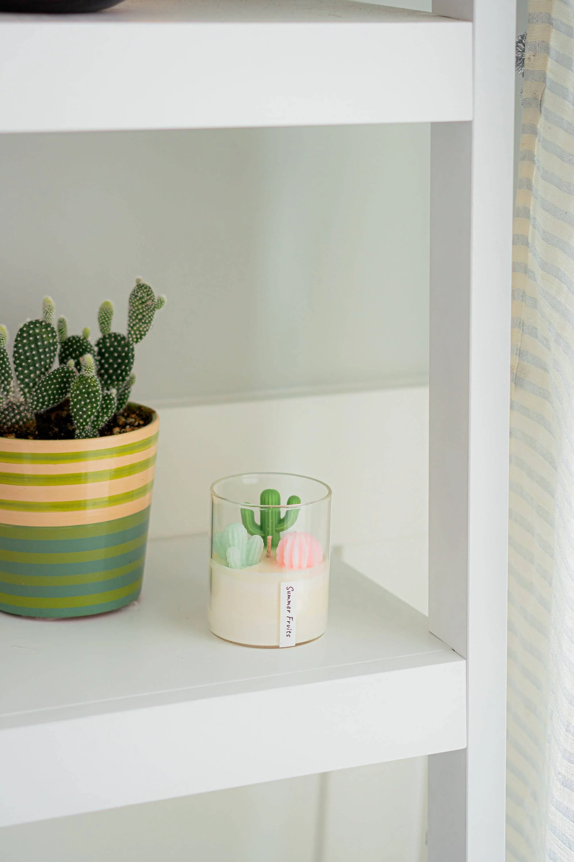 Cactus Candle | Soy Blend Candle - Image 4
