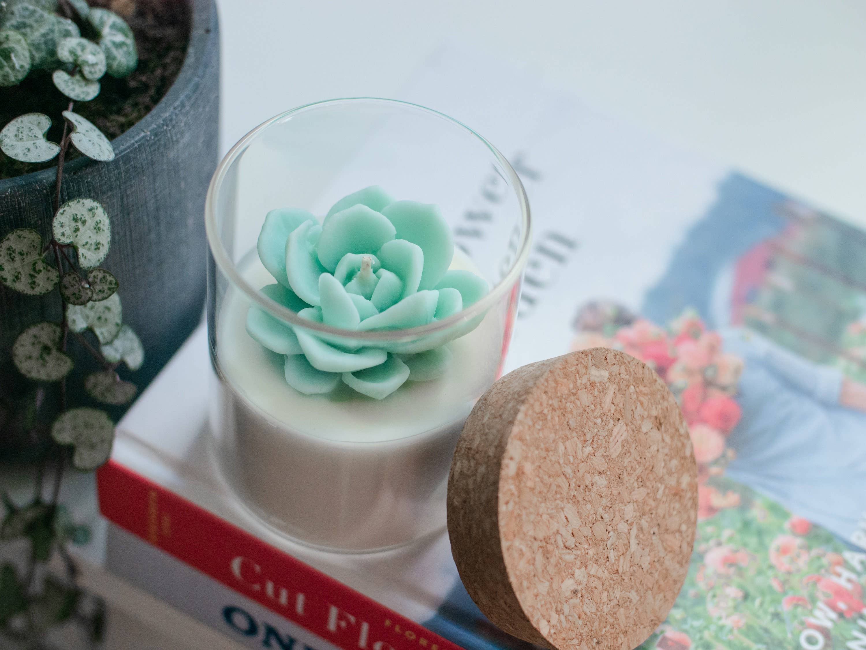 Succulent Soy Candle | Soy Blend - Image 4